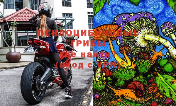 ешки Лабытнанги